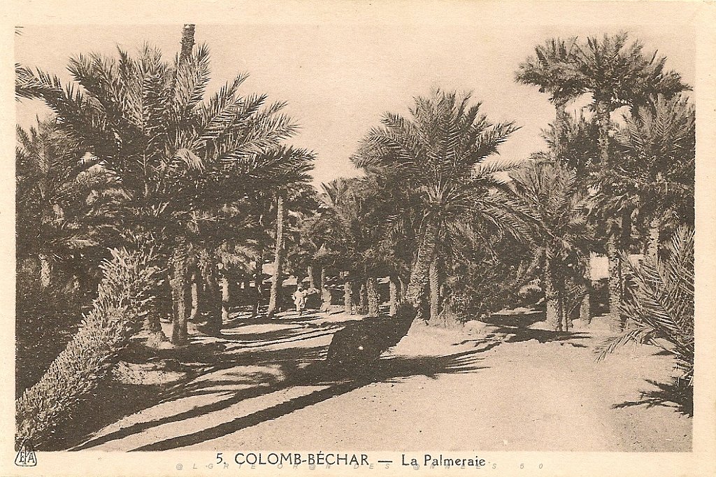 colomb bechar  (10).jpg